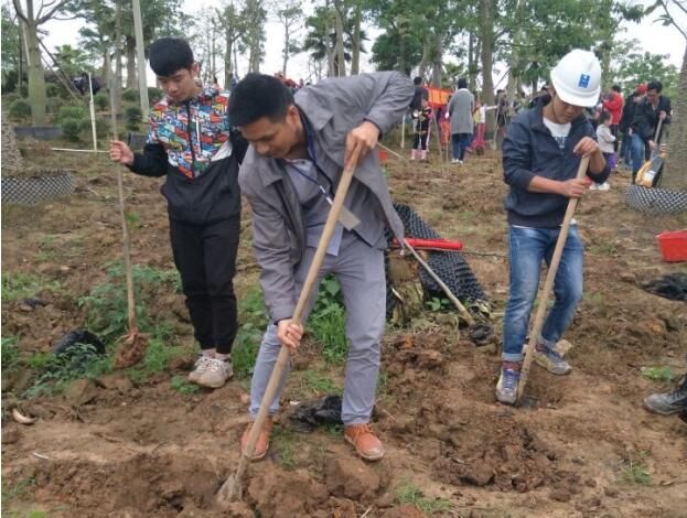 项目党员带领团员青年开展植树活动.jpg