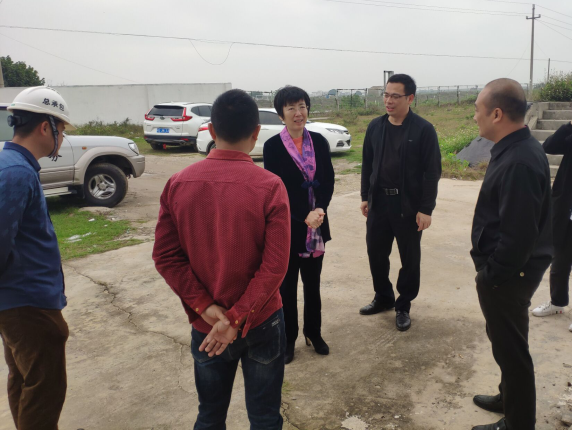 11辛红梅视察项目。梁荣程 摄700.png