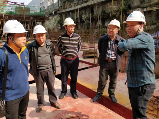 1现场交流项目情况。梁观德 摄700.jpg