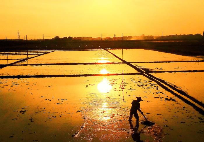 1565252600305826.jpg 5摄影作品《耕作》获三等奖。韦荣伟 摄-13768307144700.jpg