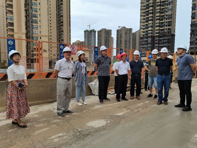 调研现场。彭永彬 摄（修图）.jpg