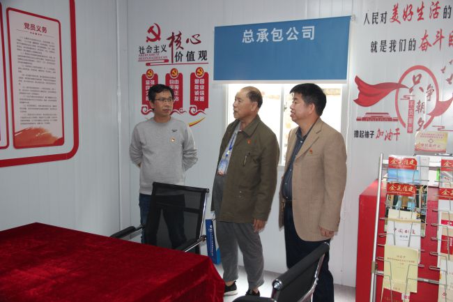 指导项目党支部工作。梁红玉 摄（修图）.jpg