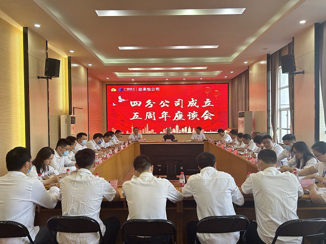 座谈会现场。蔡怡灵 摄（修图）.jpg