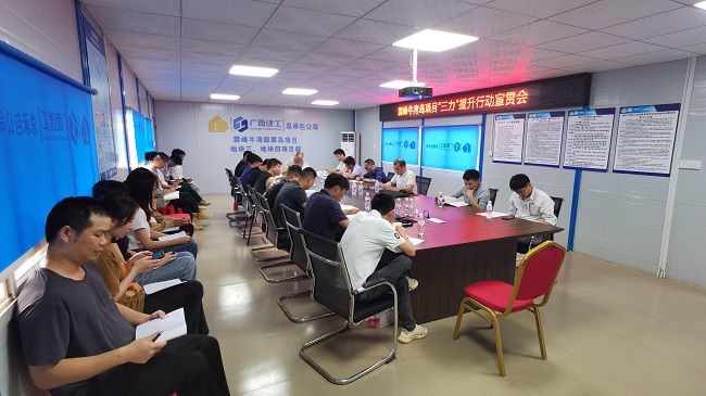 分公司党支部书记、副总经理胡海云深入牛湾岛项目宣贯《“三力”提升行动》。黄修书 摄修图）.jpg