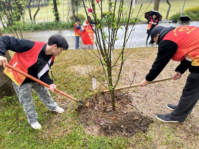 为树苗松土固基。周煜川 摄（修图）.jpg